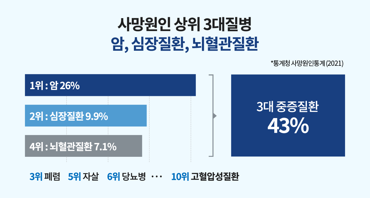 보험 유형별 설명